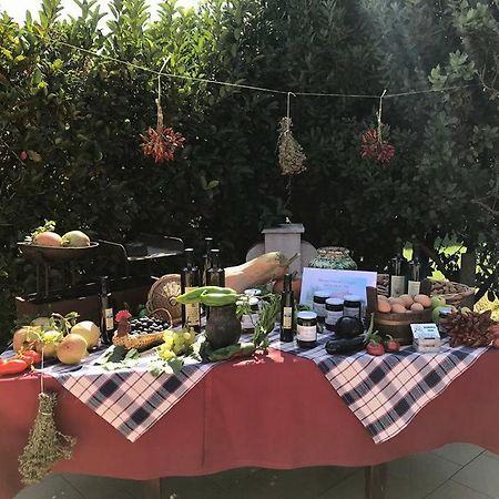 Masseria Vero Bed & Breakfast Palo del Colle Ngoại thất bức ảnh